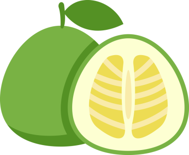 Boyama kitabı şablonu için pomelo meyve illüstrasyonuName