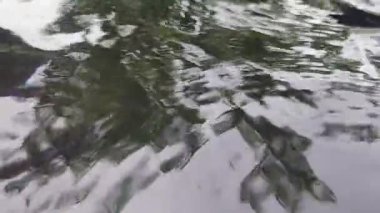 Bir damlacık, daireler ve nazik dalgaların neden olduğu su yüzeyi dalgaları, su arka planı veya meditasyon temaları için ideal doğal sakin su hareketi, kirlenmiş su ve çevresel etkiyi yansıtan çevresel etki
