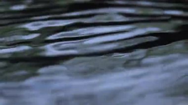 Su yüzeyine yakın çekim, su yüzeyinde bir damlacıktan kaynaklanan kara dalgalanmalar, eşmerkezli daireler ve nazik dalgalar yaratıyor, arka plan veya meditasyon temaları için doğal sakin su hareketi