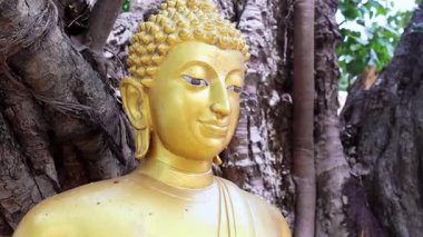 Bodhi ağacının önündeki altın Buda heykeli kutsal ve huzurlu bir tapınak ortamında barışı, inancı ve Budizmi sembolize ediyor.