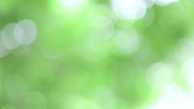 yumuşak yeşil doğal bokeh arkaplan, bulanık doğa, arka plan için yeşil bokeh ışığı, yaz arkaplanı için ideal ve parlak, taze ve organik arkaplan gerektiren yaratıcı projeler