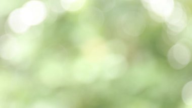 yumuşak yeşil doğal bokeh arkaplan, bulanık doğa, arka plan için doğal yeşil bokeh ışığı, yaz arkaplanı için ideal, ve parlak, taze ve organik arkaplan gerektiren yaratıcı projeler