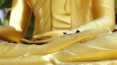 Altın Buda heykeli, açık havada altın Buda heykeli. Tayland inancının, sanatın, kültürün sembolü, din için mükemmel, miras, turizm ve ruhsal stok görüntüleri, yakın çekim