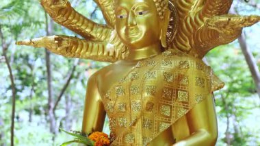 Altın Buda heykeli, açık havada yedi başlı naga heykeli, ayrıntılı sanat ve inanç, Tayland kültürünü ve dinini yansıtan, ruhani ve kültürel görüntüler için mükemmel, yakın çekim