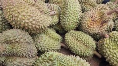 Durian, büyük bir durian yığını, durian tropikal meyve pazarı konsepti, mevsimsel üretim, tarım ve Asya 'nın ihracat ürünü.