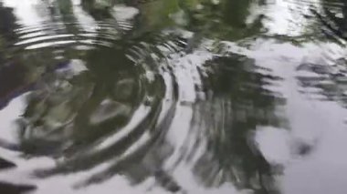 Bir damlacık, daireler ve nazik dalgaların neden olduğu su yüzeyi dalgaları, su arka planı veya meditasyon temaları için ideal doğal sakin su hareketi, kirlenmiş su ve çevresel etkiyi yansıtan çevresel etki