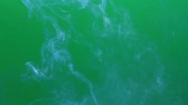 duman, yeşil arka planda süzülen beyaz duman, soyut, sanatsal, gizemli ve atmosferik arka planlar için mükemmel