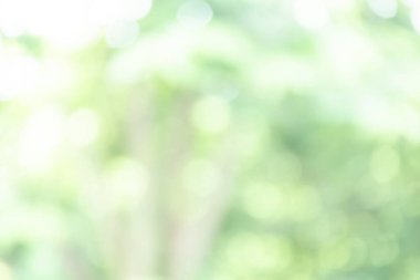 yumuşak yeşil doğal bokeh arkaplan, bulanık doğa, arka plan için doğal yeşil bokeh ışığı, yaz arkaplanı için ideal, ve parlak, taze ve organik arkaplan gerektiren yaratıcı projeler