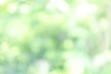 yumuşak yeşil doğal bokeh arkaplan, bulanık doğa, arka plan için doğal yeşil bokeh ışığı, yaz arkaplanı için ideal, ve parlak, taze ve organik arkaplan gerektiren yaratıcı projeler