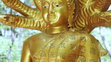 Altın Buda heykeli, açık havada yedi başlı naga heykeli, ayrıntılı sanat ve inanç, Tayland kültürünü ve dinini yansıtan, ruhani ve kültürel görüntüler için mükemmel, yakın çekim