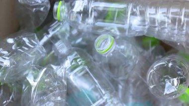 Plastik atık, plastik atık şişesini karton bir kutuya atmak, geri dönüşümü, atık plastik sıralamayı ve sürdürülebilir çevre uygulamalarını temsil etmek.