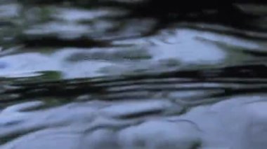 Su yüzeyine yakın çekim, su yüzeyinde bir damlacıktan kaynaklanan kara dalgalanmalar, eşmerkezli daireler ve nazik dalgalar yaratıyor, arka plan veya meditasyon temaları için doğal sakin su hareketi