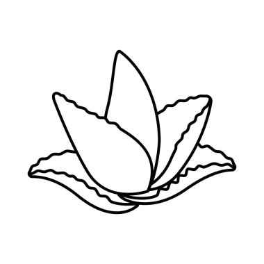 Aloe vera bitkisinin çizgi çizimi, minimalist ve doğal tasarımlar için mükemmel. Aloe Vera sağlık ve cilt bakımı için idealdir. Aloe vera bazlı organik markalaşma için harika.