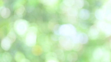 yumuşak yeşil doğal bokeh arkaplan, bulanık doğa, arka plan için doğal yeşil bokeh ışığı, yaz arkaplanı için ideal, ve parlak, taze ve organik arkaplan gerektiren yaratıcı projeler