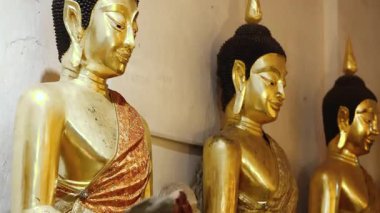 Tapınaktaki altın Buda heykelleri, inancı, barışı ve Tayland kültürünü simgeliyor. Din, meditasyon, maneviyat, miras ve seyahat projeleri için mükemmel.