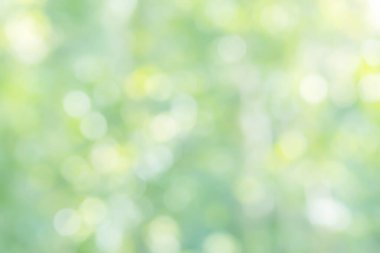 yumuşak yeşil doğal bokeh arkaplan, bulanık doğa, arka plan için yeşil bokeh ışığı, yaz arkaplanı için ideal ve parlak, taze ve organik arkaplan gerektiren yaratıcı projeler
