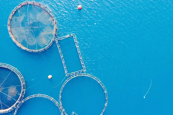 Fish Farming Unit Sea Bass Sea Bream Growing Cages Calm — Stock Photo, Image