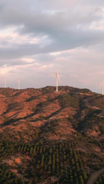 日没時の風力発電所の空中ビュー 縦射の確立 — ストック動画