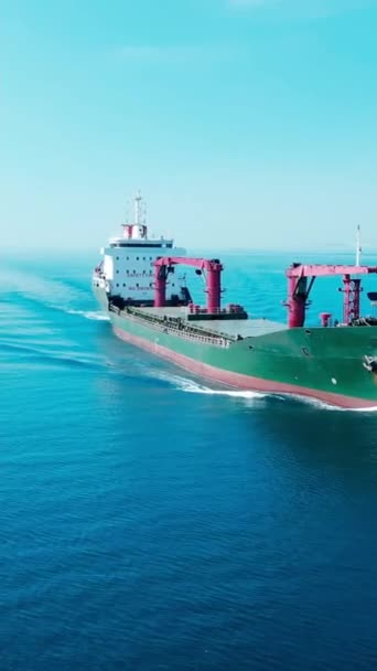 Általános Teherszállító Hajó Ömlesztettáru Szállító Vagy Ömlesztettáru Szállító Hajó Tengeren — Stock videók