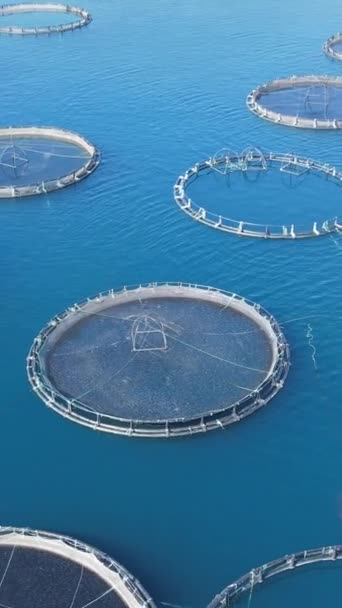 Luftaufnahme Einer Fischfarm Der Ägäis Vertikaler Schuss — Stockvideo