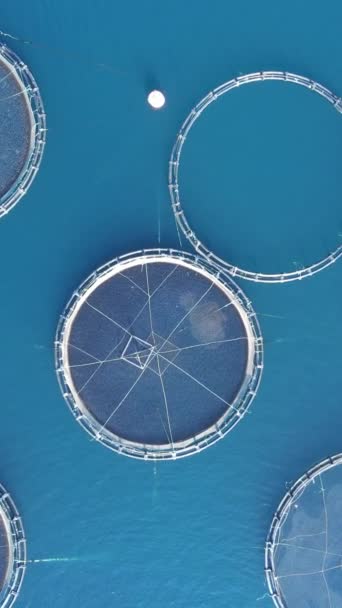 Letecký Snímek Přímo Nad Kruhovou Rybí Farmou Moři Svislý Výstřel — Stock video