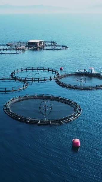养鱼场浮网海水面海岸线海产海产养殖业 航向后退 — 图库视频影像