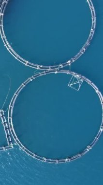 Türkiye 'de ticari balıkçılık endüstrisi. Ege Denizi 'ndeki balık çiftlikleri