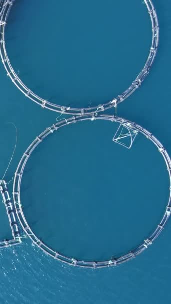 Industria Pesquera Comercial Turquía Granjas Peces Mar Egeo — Vídeo de stock