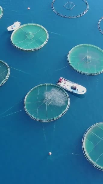 Kolam Ikan Pertanian Mengambang Kolam Udara Melihat Air Laut Pantai — Stok Video