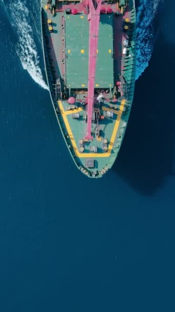 Прогноз Сухого Вантажного Судна Морі Повітряний Вертикальний Постріл — стокове відео