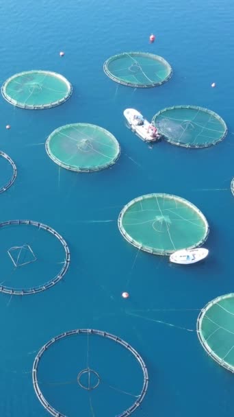 Pandangan Atas Drone Udara Dari Kandang Ikan Laut Dan Jaring — Stok Video