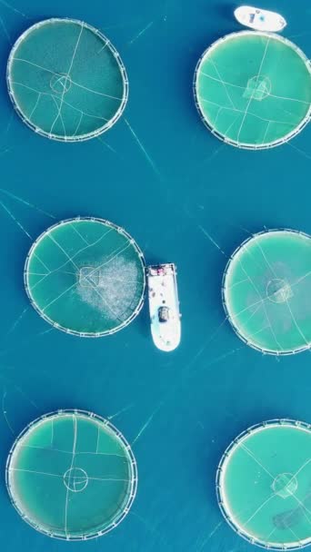 Vertikale Luftaufnahmen Von Fischfarmen Der Ägäis — Stockvideo
