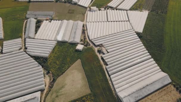 Greenhouses Growing Vegetables Aerial View — Stock Video