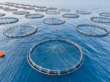 Aerial footage of cages fish farm offshore sea clipart