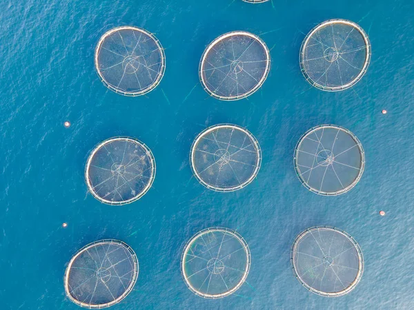Вид Сверху Рыбную Клетку Разводимую Спокойном Глубоком Море Вид Воздуха Стоковое Изображение