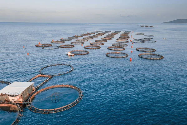 stock image Aerial shot of aquaculture cages of industrial fish farm in open sea