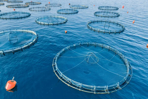Vattenbruk Burar Fisk Gård Havet Skaldjur Industrin Närbild Flygvy — Stockfoto