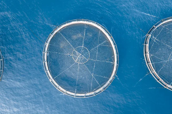 Industrial Fish Cage Farming Open Sea Aerial Top View — Stock Photo, Image