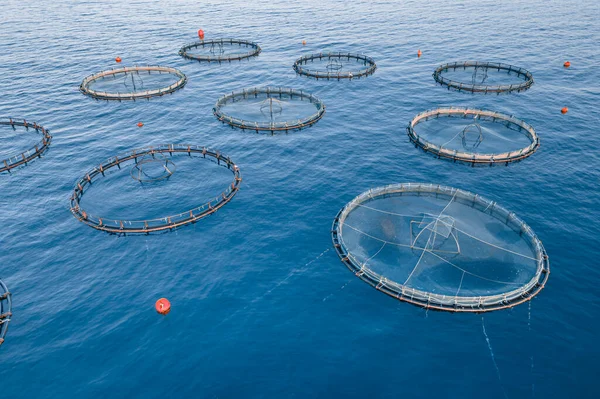 Aquacultuur Kweek Kooien Voor Viskwekerijen Rustig Diep Water Luchtfoto — Stockfoto