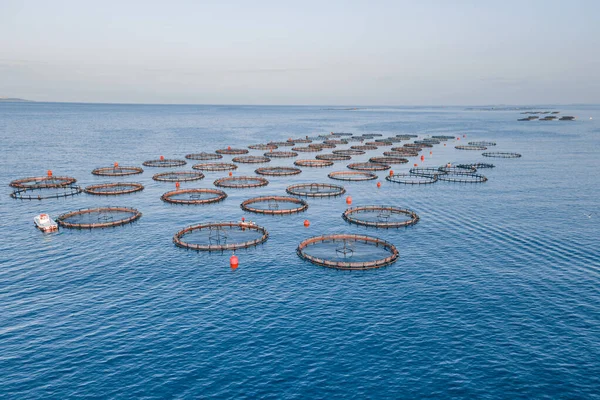 Vattenbruk Burar Fisk Gård Havet Skaldjur Industrin Flygbild — Stockfoto