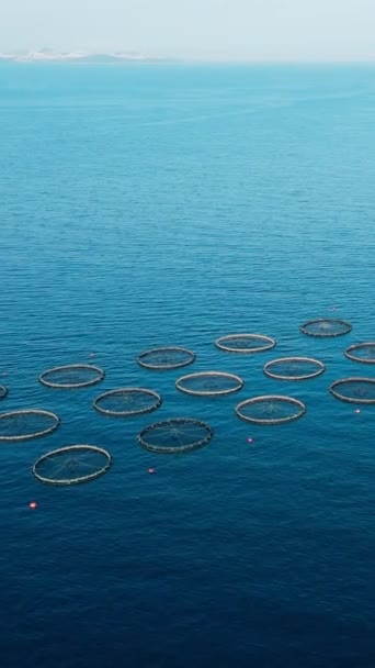 Aerial Video Fish Farming Cages Calm Sea Water Vertical — Stock Video