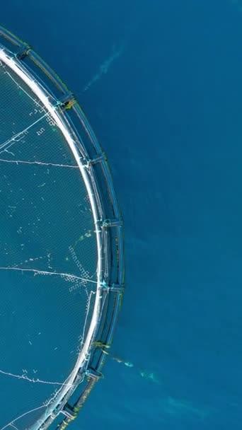 Artificial Fish Farms Mediterranean Sea Aerial Vertical View — Stock Video