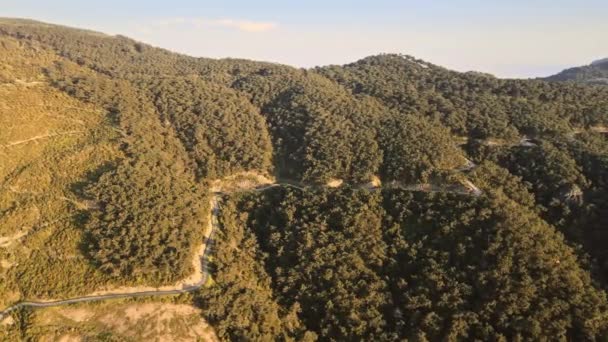 Vue Aérienne Par Drone Forêt Pins Sur Versant Montagne Route — Video