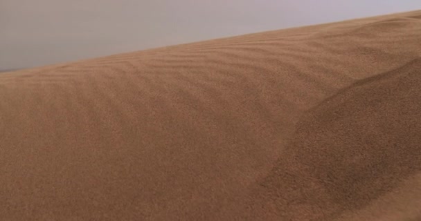 Nahaufnahme Von Sanddünen Der Wüste Abend — Stockvideo