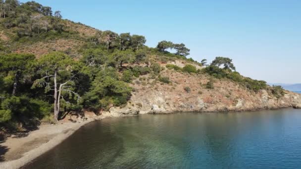 Costa Rocosa Del Mar Egeo Con Bosque Orilla Día Soleado — Vídeos de Stock