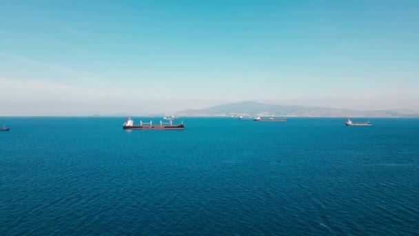 Kuru Kargo Gemileri Tahıl Veya Kömür Endüstriyel Liman Yakınında Havadan — Stok video