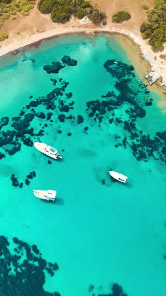 Yates Hermosa Bahía Turquía Bodrum Costa Del Egeo Vista Vertical — Vídeos de Stock