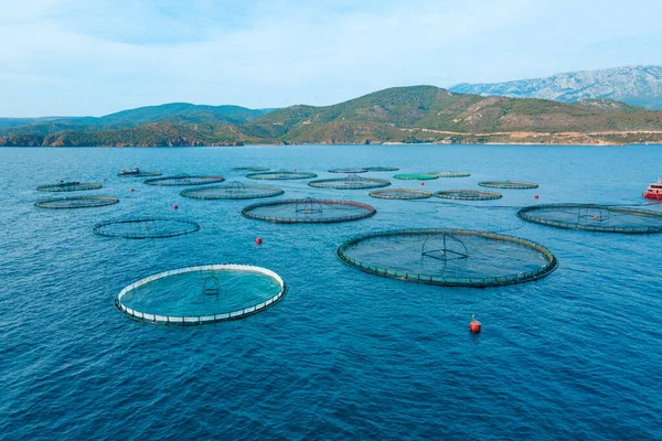 Оффшорная Аквакультура Рыбных Клетках Рыбной Фермы Эгейском Море Воздушный Удар — стоковое фото