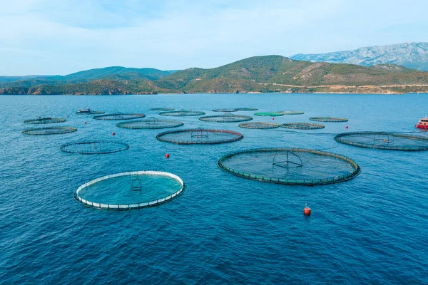 爱琴海养鱼场浮游养鱼笼中的近海水产养殖 空中射击 — 图库照片