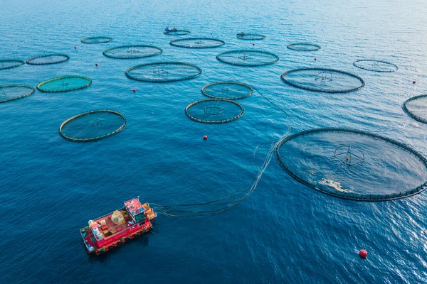 Vattenbruk Burar Fisk Gård Havet Skaldjur Industrin Flygbild — Stockfoto